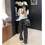 ̺ ML6951