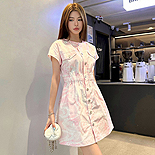   ǽ ML9963